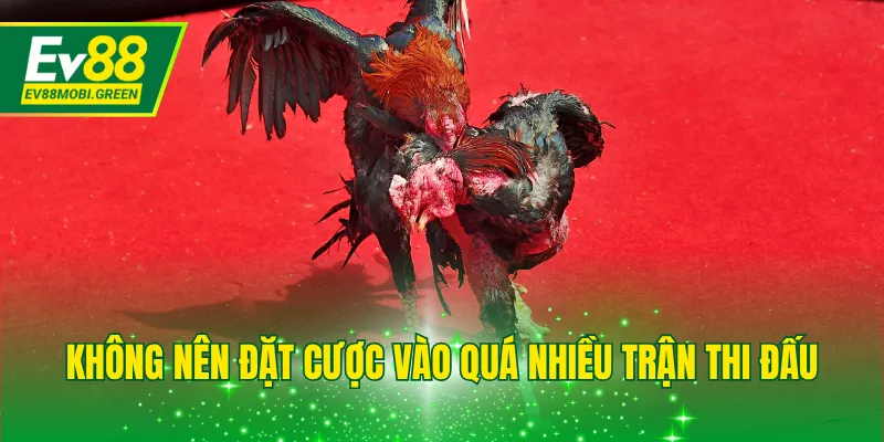 Không nên đặt cược vào quá nhiều trận thi đấu